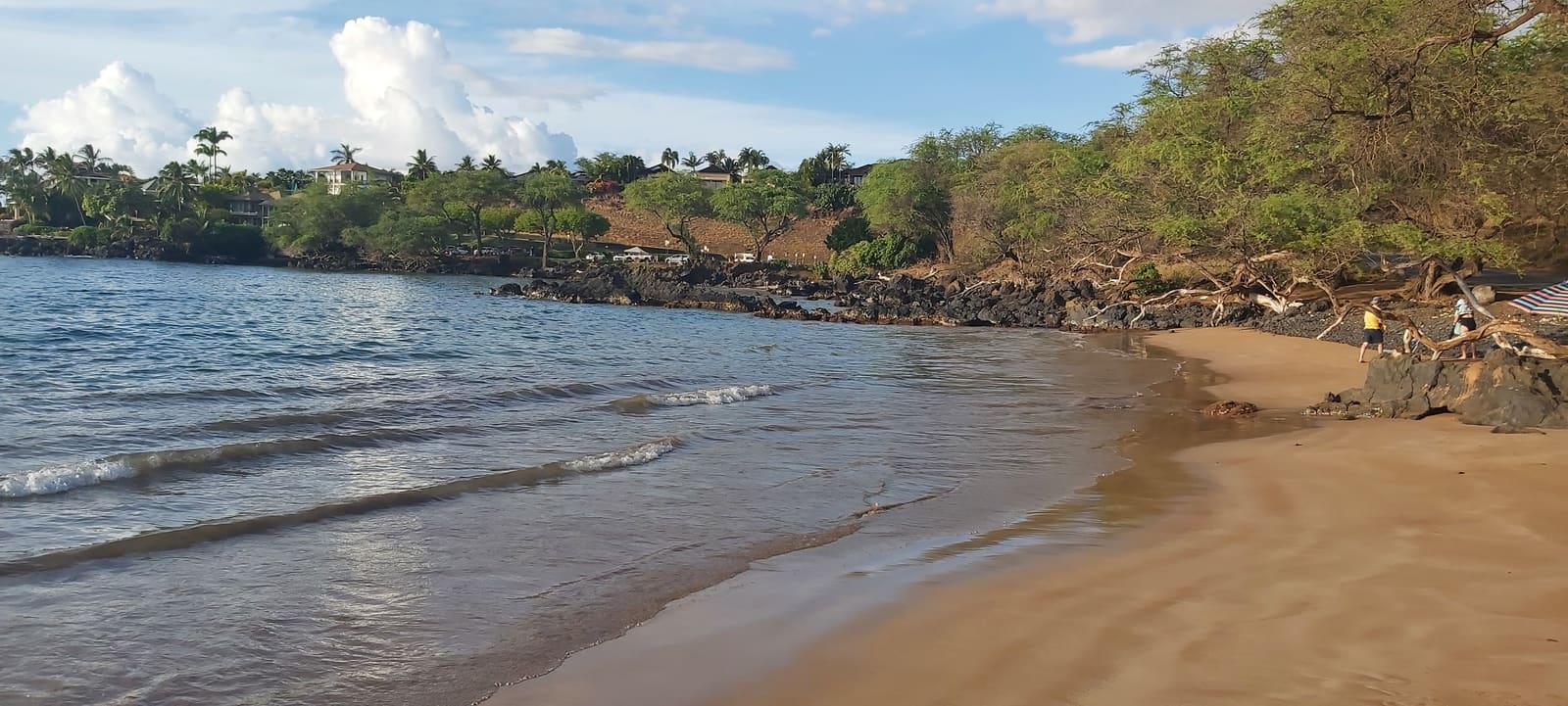 20221204 163023 — Maui beach scene