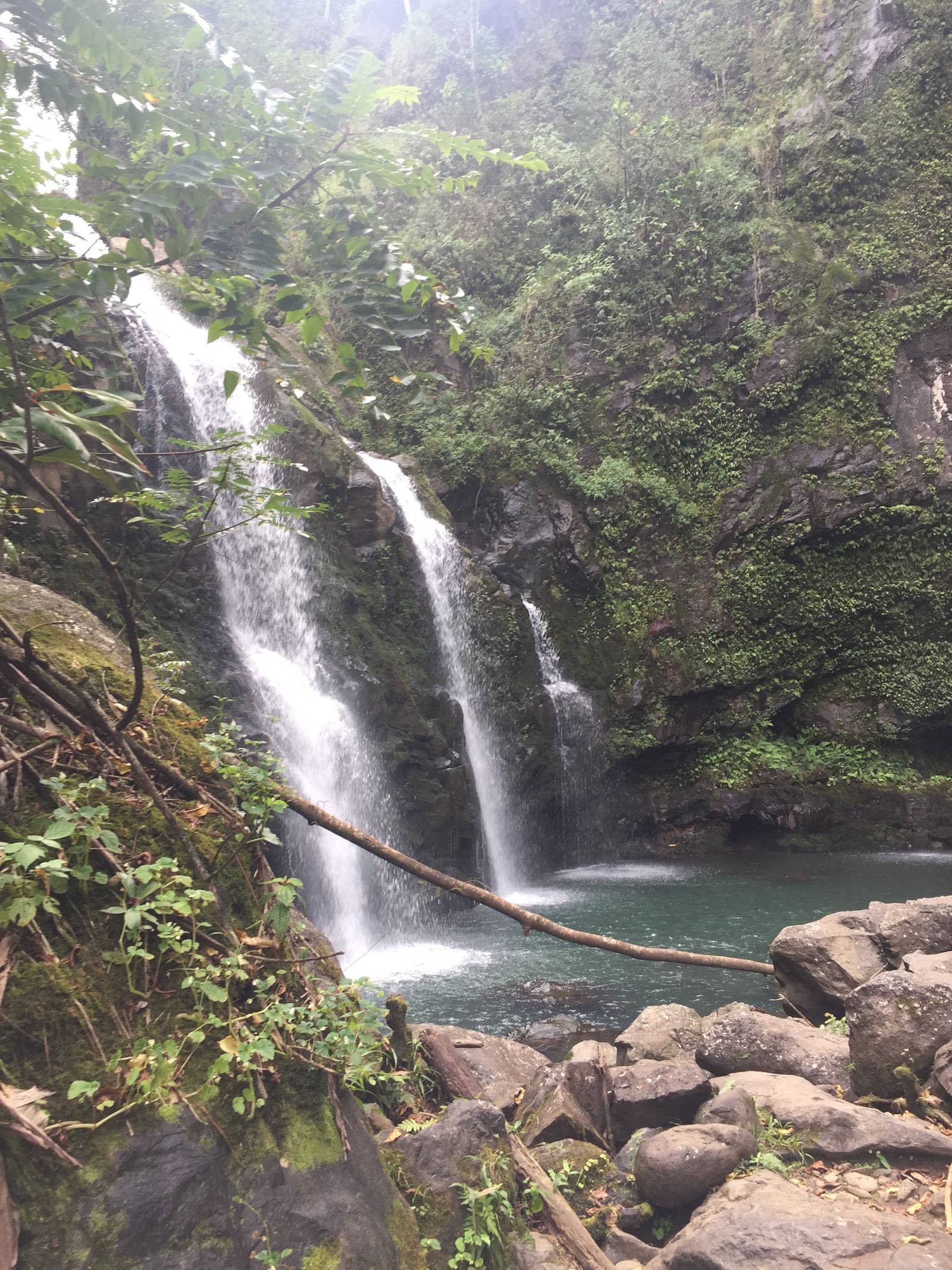 Lush Maui waterfall