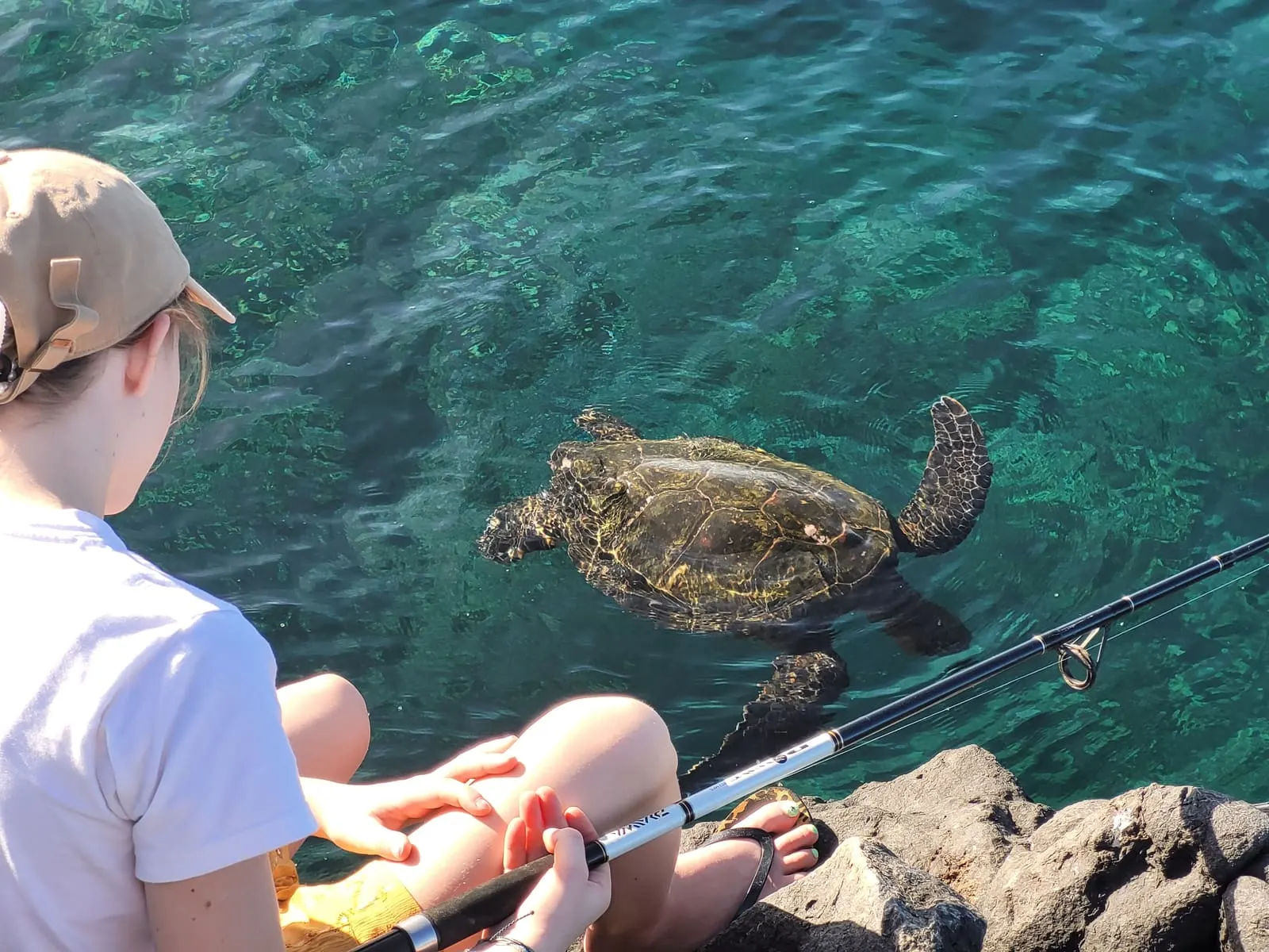 Kamaole Beach Park II