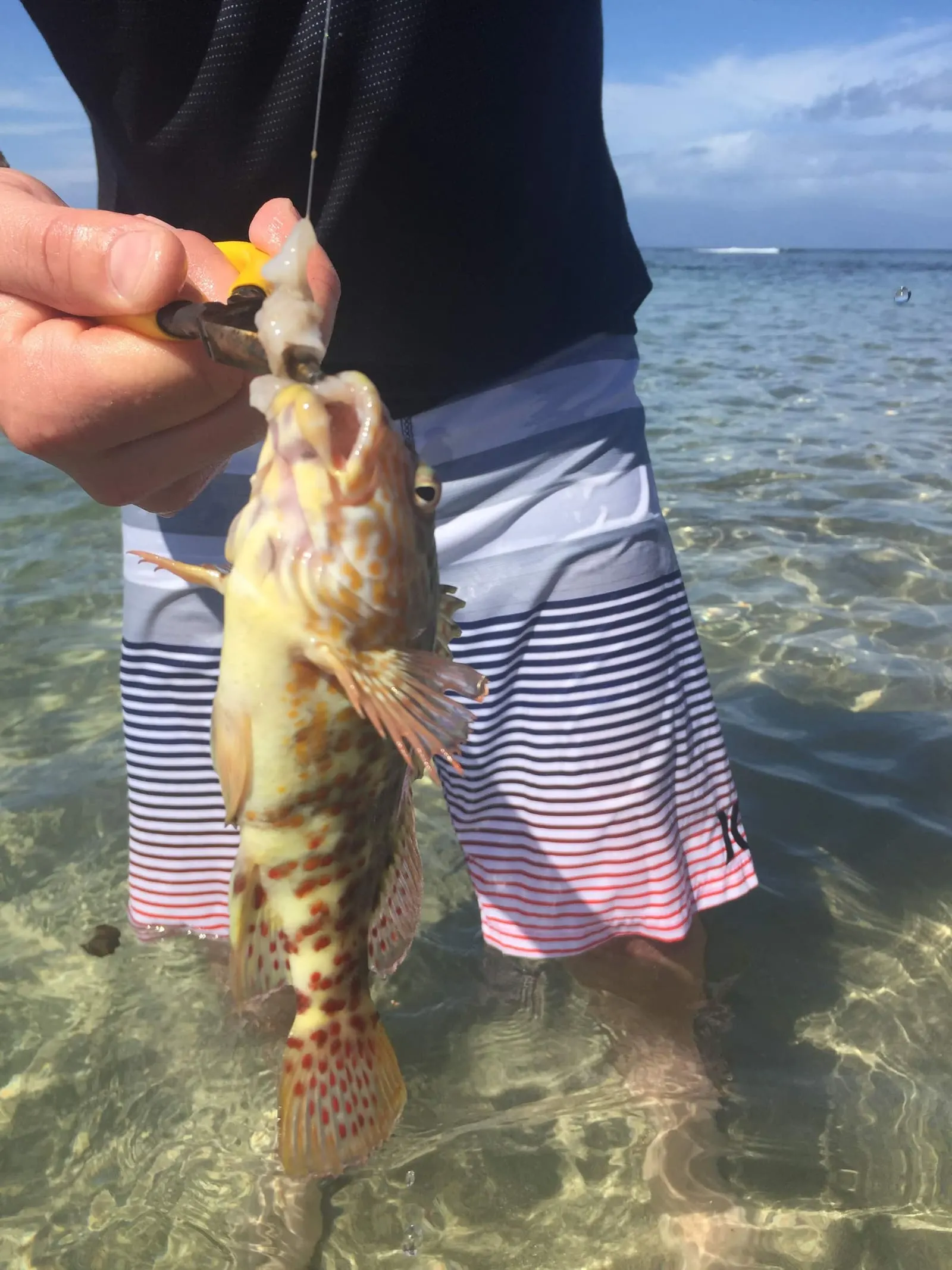 Monkeypod Kitchen – Kihei