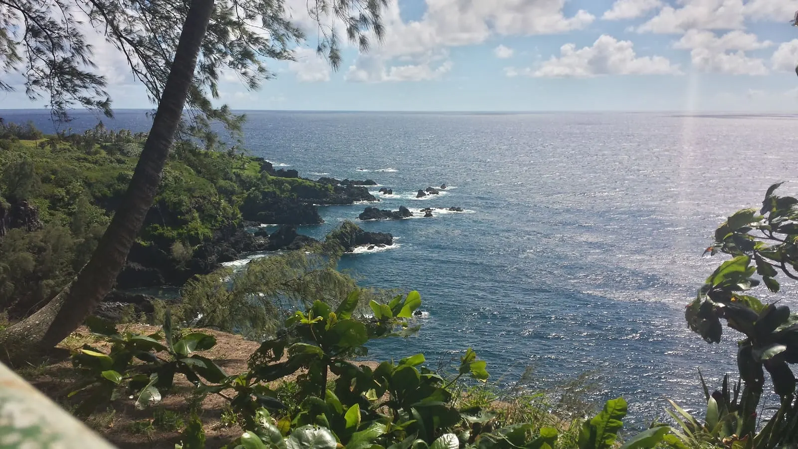 Maui Ocean Center