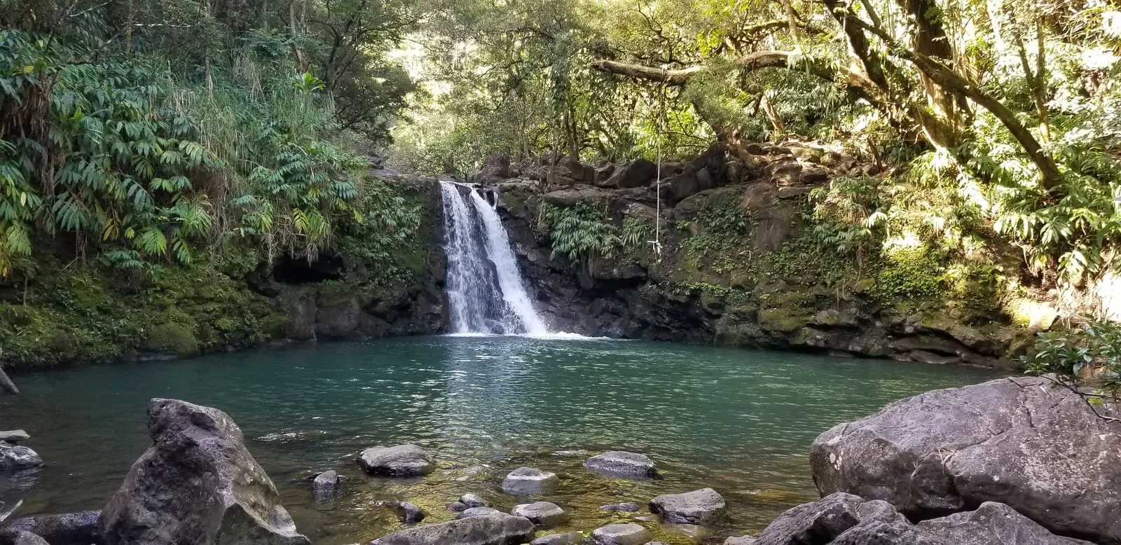 Waterfall cascading into a pool surrounded by tropical trees