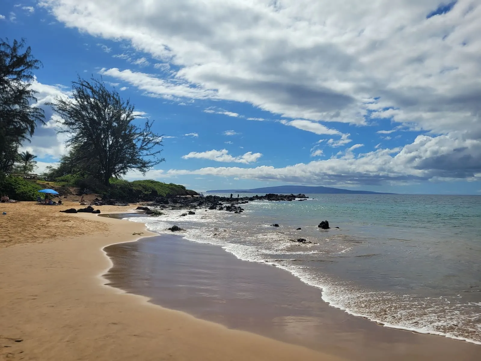 Small sandy cove and coastal trees beneath scattered clouds