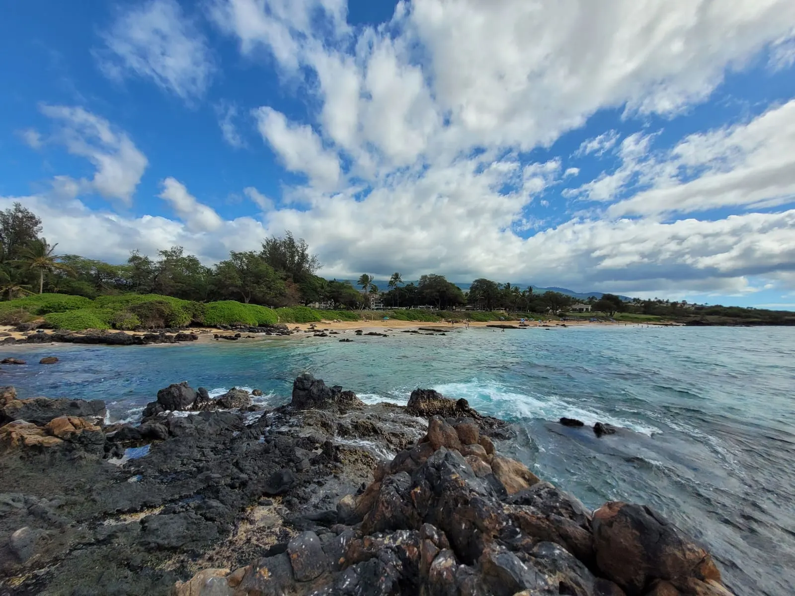 Rocky shoreline and coastal trees beside blue water