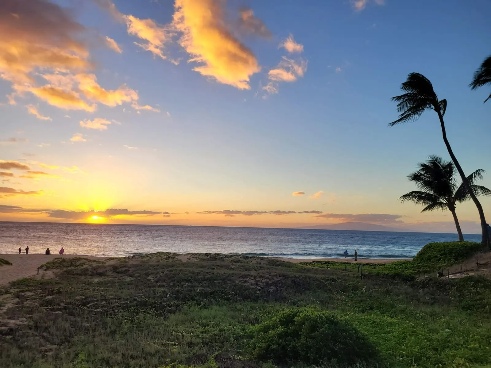 Maui shoreline and palms beneath an orange sunset sky