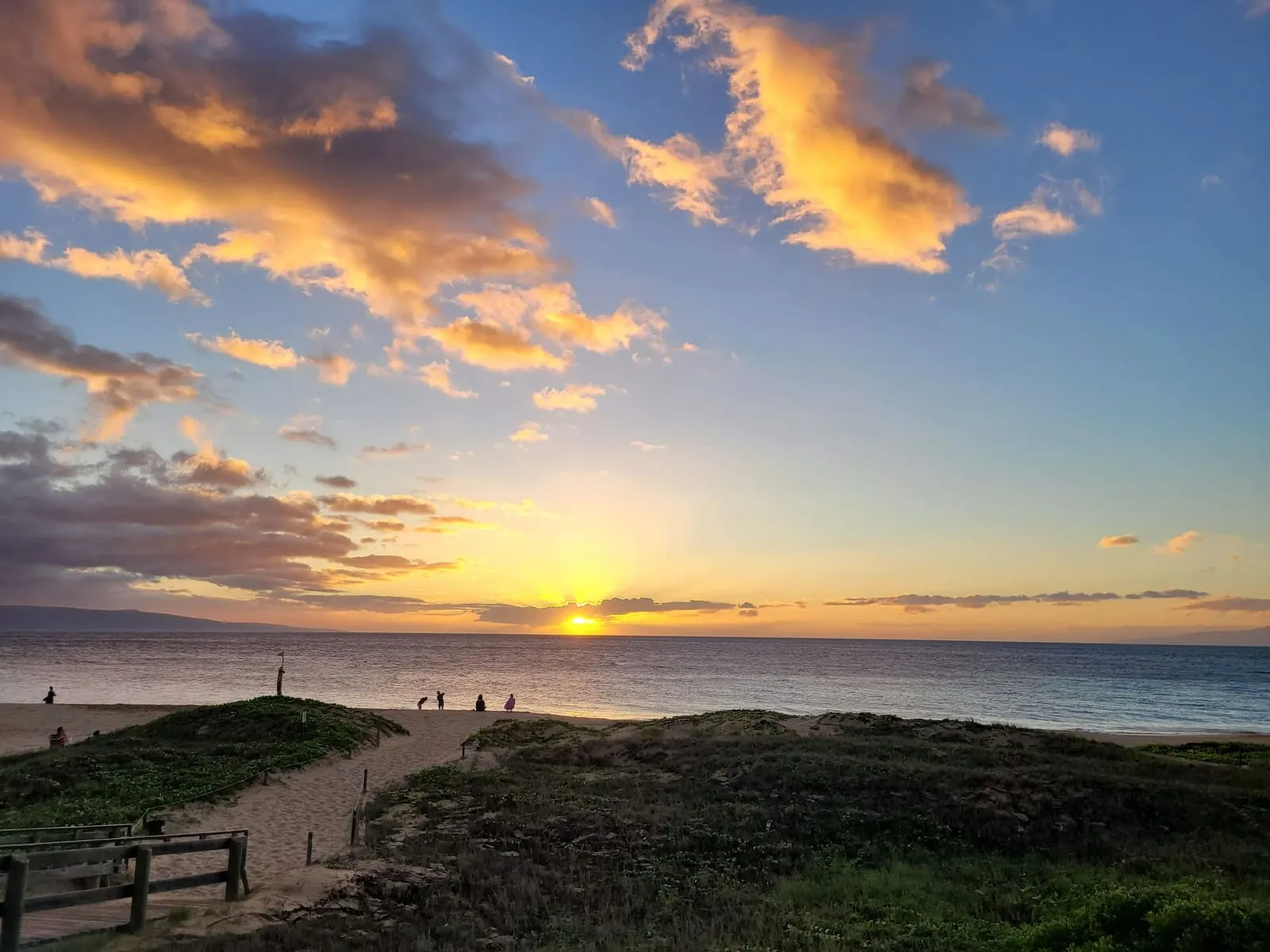 Ocean sunset viewed from a grassy coastal path