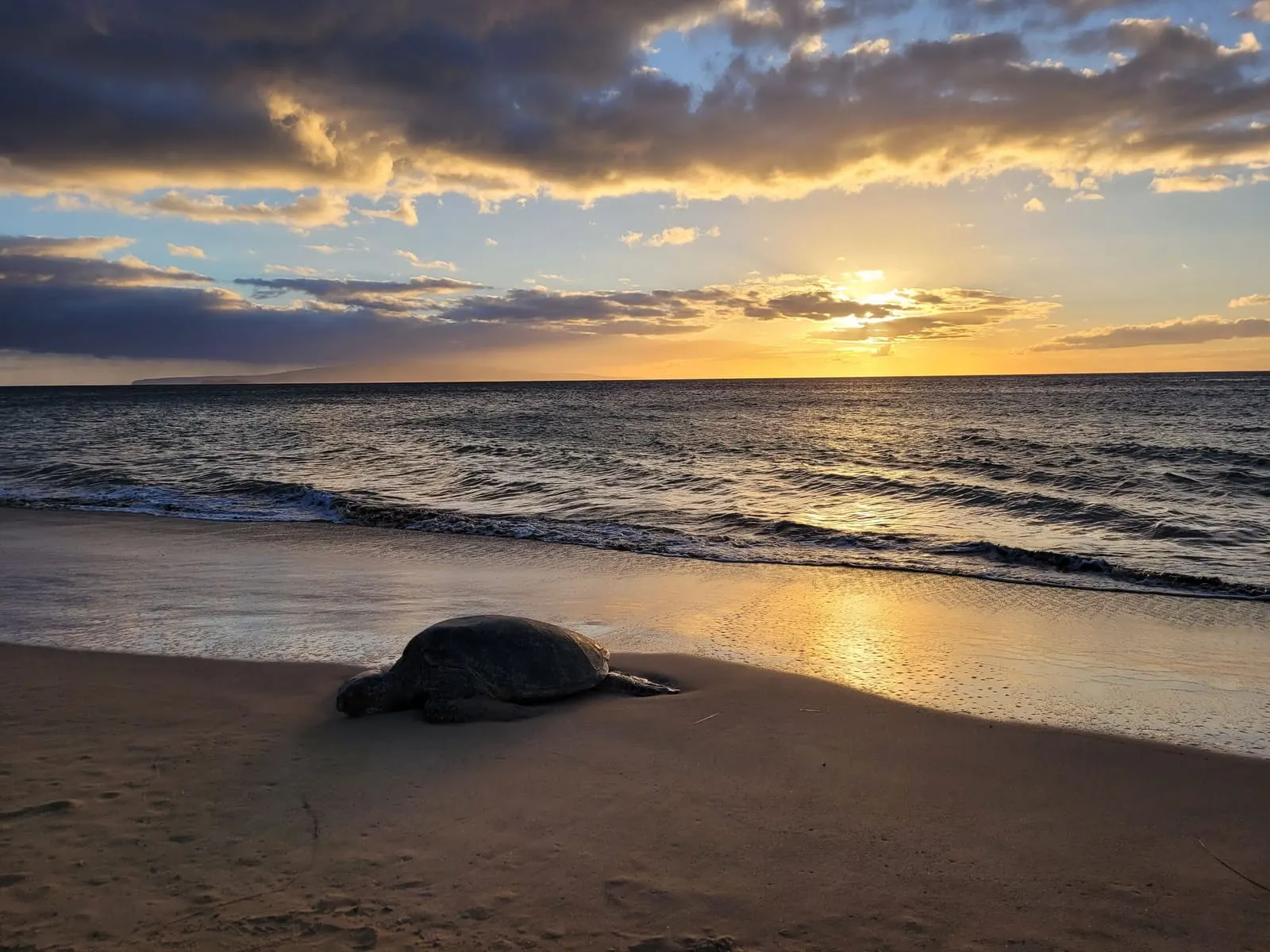Golden sunset beyond a sandy shoreline