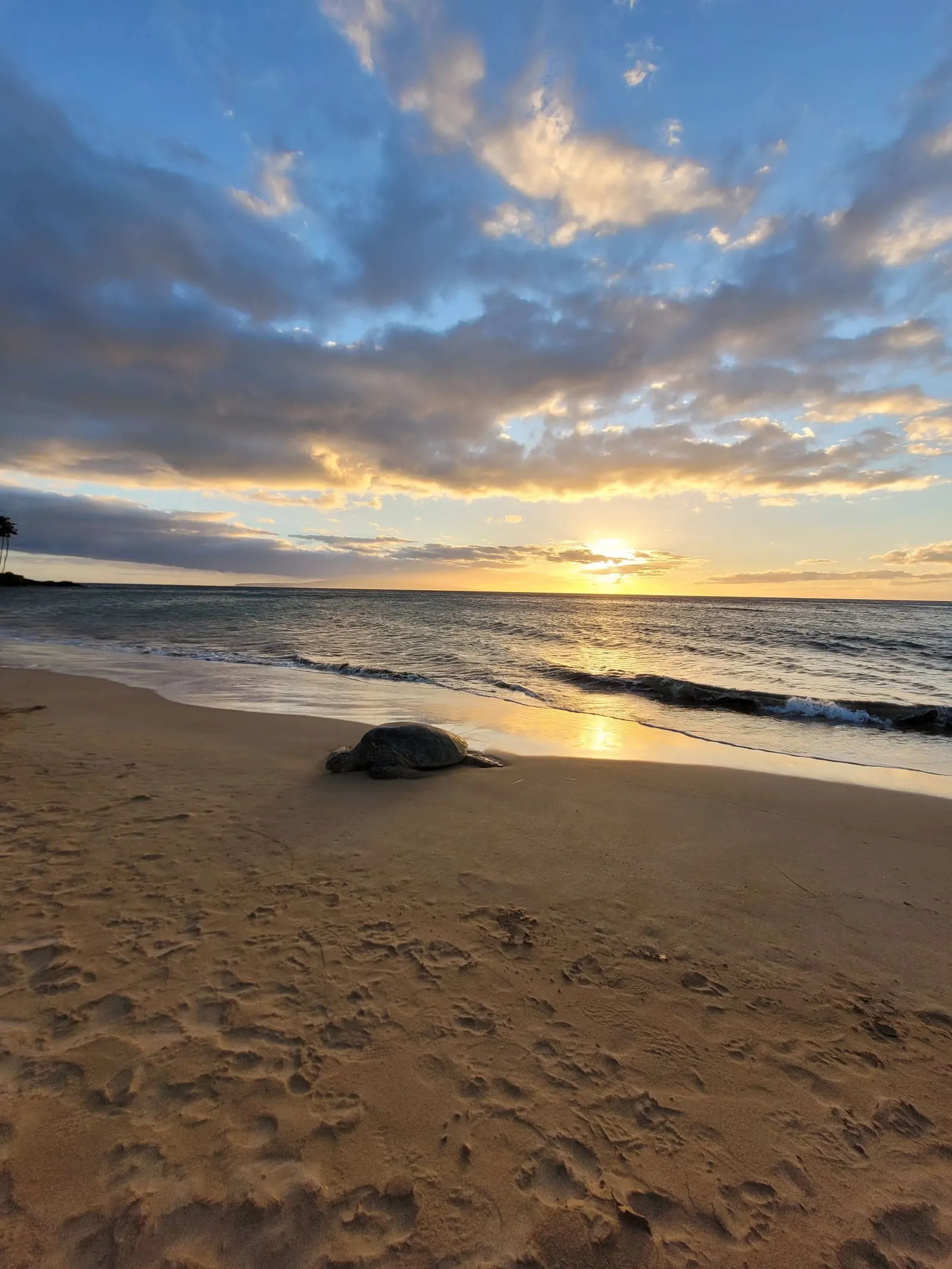 Waves reaching the beach at sunset