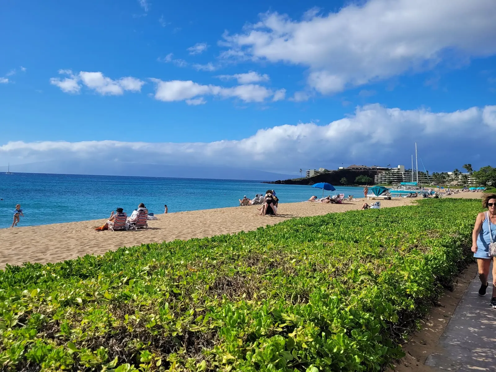 Grassy shoreline beside a sunny Maui beach