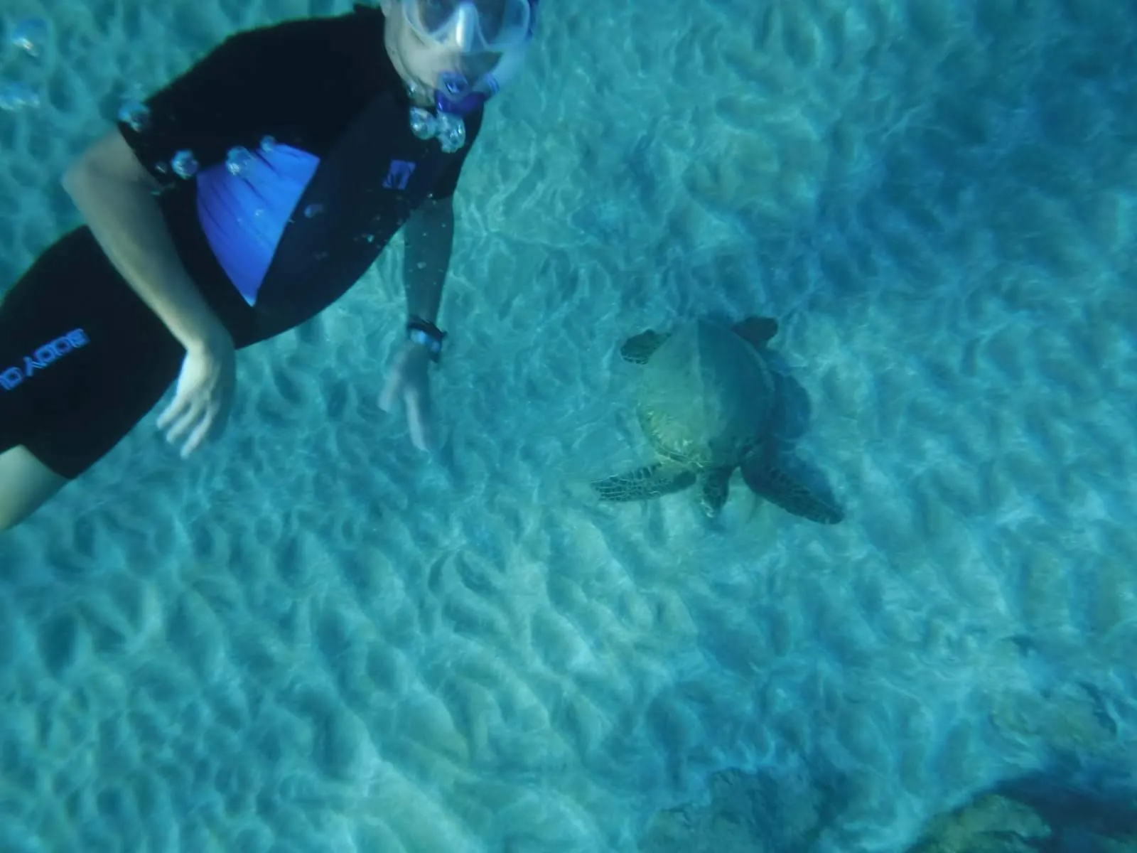 Snorkeling Kihei